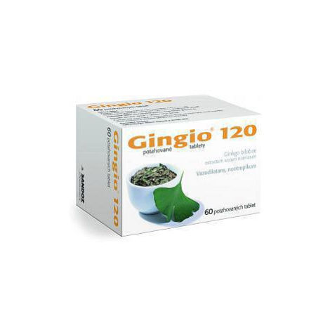 Gingio 120mg potahované tablety 60