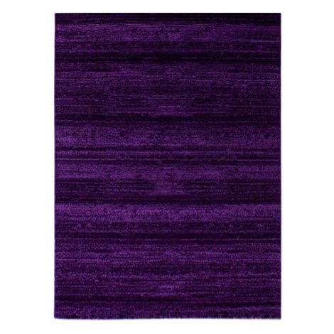 Ayyildiz, Kusový koberec Plus 8000 lila, 200x290, fialová, chodba / předsíň