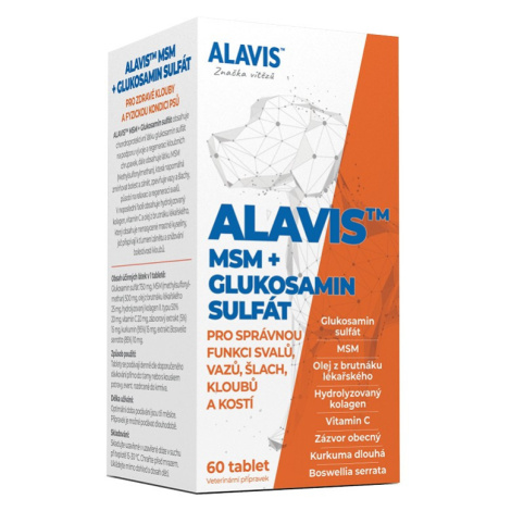 ALAVIS MSM + glukosamin sulfát - 60tbl