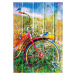 Bluebirds on a Bicycle - puzzle z kategorie Umelecké