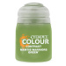 Citadel Contrast Paint - Mantis  Warriors Green (18 ml)