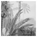 Komar Fototapeta Lac Tropical Black & White 200 x 270 cm