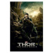 Plakát, Obraz - Thor 2:The Dark World - Loki, (61 x 91.5 cm)