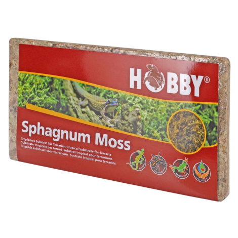 Hobby mech Sphagnum Moss 100 g Hobby Terraristik