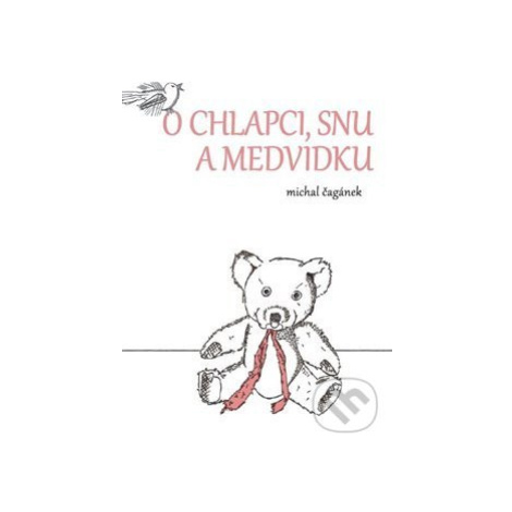 O chlapci, snu a medvídku - Michal Čagánek - kniha z kategorie Pohádky