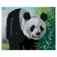 Malování podle čísel - PANDA (D. RUSTY RUST) Rozměr: 40x50 cm, Rámování: bez rámu a bez vypnutí 