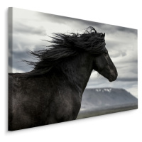 MyBestHome BOX Plátno Černý Kůň I. Varianta: 100x70