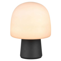 Černo-bílá stolní lampa se skleněným stínidlem (výška 27 cm) Steen – Trio