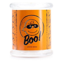 PEANUTS Boo 250 g