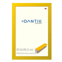 DANTIK rámeček 20 × 30, PASTELKA žlutý rovný sklo čiré