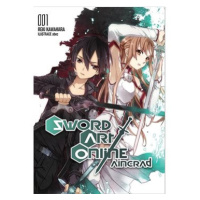 Sword Art Online Aincrad: 001