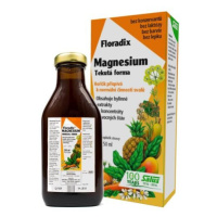 SALUS Floradix Magnesium 250ml