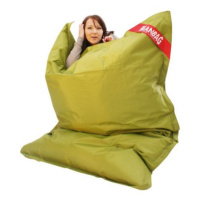 Sedací pytel BeanBag perfekt-green frog