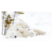 Umělecká fotografie Polar bear (Ursus maritimus), AndreAnita, (40 x 26.7 cm)