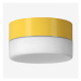 Stropní a nástěnné svítidlo NOMIA 23,1W LED 4000K sklo žlutá opál DALI BS44.K4.N44.35L - LUCIS