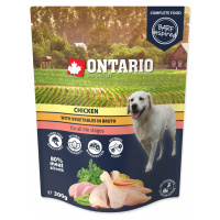 Kapsička Ontario kuře se zeleninou ve vývaru 300g
