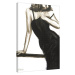 Obraz na plátně Janel Eleftherakis - Little Black Dress III, (60 x 80 cm)