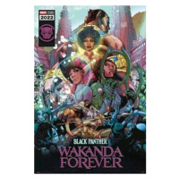 Plakát 61x91,5cm - Black Panther: Wakanda Forever