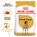 Royal Canin Dog Adult Great Dane - 12kg