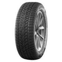 NANKANG 245/45 R 18 100V WINTER_ACTIVA_SV-4 TL XL M+S 3PMSF