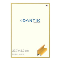 DANTIK rámeček 29,7 × 42, ALU profil 6030 Dýha barevný žlutý plexi čiré