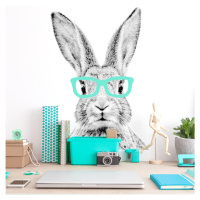 DEKORACJAN Samolepka na zeď - králík v brýlích Velikost: M, Barva doplňku: žlutá