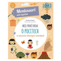 Moje první kniha o pocitech (Montessori: Svět úspěchů) - Agnese Baruzzi, Chiara Piroddiová