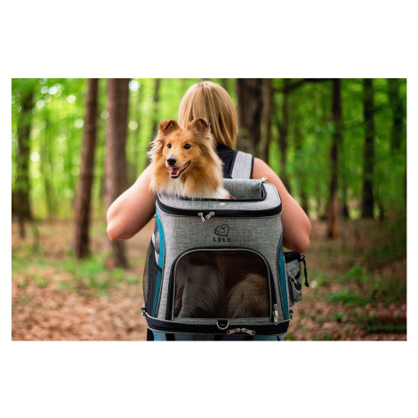 Smart šedo-modrý batoh pro psa | do 6 Kg Barva: Modrá, Dle váhy psa: do 6 kg