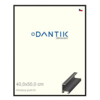 DANTIK rámeček 40 × 50, ALU profil 6001 Černý matný plexi čiré