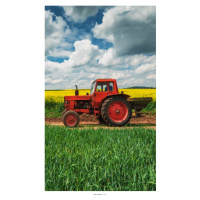 TipTrade Bavlněný froté ručníček 30x50 cm - Červený traktor