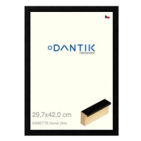 DANTIK rámeček 29,7 × 42, KASSETTE černý plexi čiré