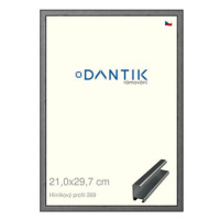 DANTIK rámeček 21 × 29,7, ALU profil 7269 Ššedý broušený sklo čiré