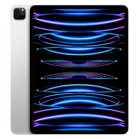 Apple iPad Pro 12.9" 2022, Cellular, 1TB, Silver (MP253FD/A)