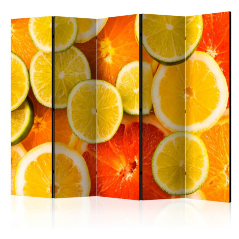 Paraván Citrus fruits Dekorhome 225x172 cm (5-dílný),Paraván Citrus fruits Dekorhome 225x172 cm 