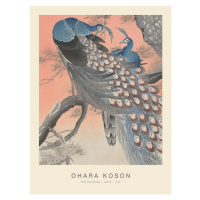 Obrazová reprodukce Two Peacocks (Special Edition) - Ohara Koson copy, 30 × 40 cm