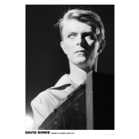 Plakát, Obraz - David Bowie - Wembley 1978, (59.4 x 84.1 cm)