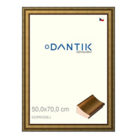 DANTIK rámeček 50 × 70, METAL AU prohlý velký plexi čiré