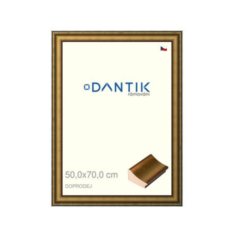 DANTIK rámeček 50 × 70, METAL AU prohlý velký plexi čiré