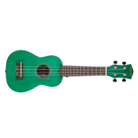 CASCHA HH 3972 EN Soprano Ukulele Bundle Green