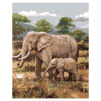 Malování podle čísel - AFRICKÉ SAFARI SLONI (JOE HAUTMAN) Rozměr: 80x100 cm, Rámování: vypnuté p