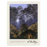 Obrazová reprodukce The Forest under Moonlight (Vintage Fantasy Landscape) - Casper David Friedr