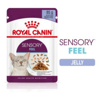 Royal Canin Sensory Feel - vlhké krmivo v želé pro dospělé kočky 12 x 85 g