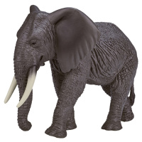 Mojo Slon africký