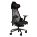 ASUS ROG Destrier Ergo Gaming Chair