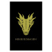 Umělecký tisk House of Dragon - Golden Dragon, (26.7 x 40 cm)