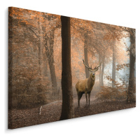 Plátno Jelen V Podzimním Lese Varianta: 90x60