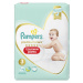 Pampers Premium Care Pants vel. 3 dětské plenkové kalhotky 70 ks