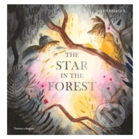 The Star in the Forest - Helen Kellock - kniha z kategorie Pro děti