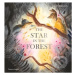 The Star in the Forest - Helen Kellock - kniha z kategorie Pro děti