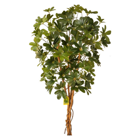 Schefflera strom EXCLUSIVE 140 cm - zelená 854060-50